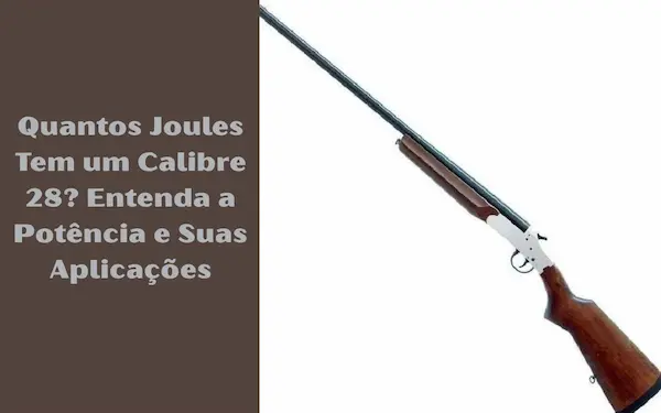 quantos joules tem um calibre 28 descubra a potencia dessa municao