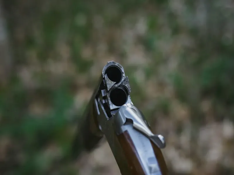 Espingarda calibre 36 1