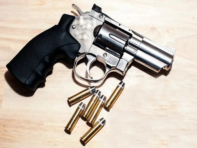 revolver 22 inox 4