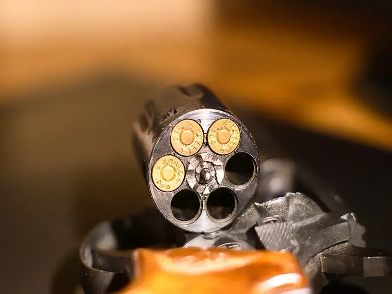 revolver 22 rossi princess